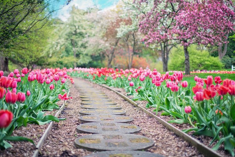 INSCRIPTION AU CONCOURS DES PLUS BEAUX JARDINS DE GRUCHET