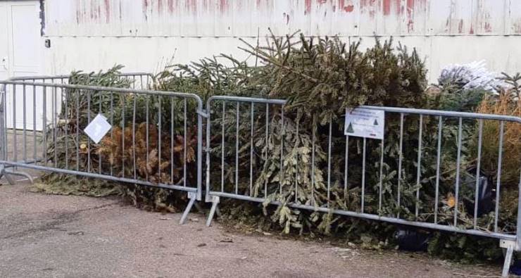 QUE FAIRE DE VOTRE SAPIN NATUREL APRÈS LES FÊTES ?