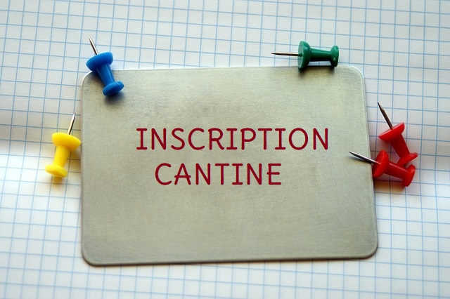 DOSSIER CANTINE À COMPLÉTER ET À REMETTRE EN MAIRIE AVANT LE 4 JUILLET 2025